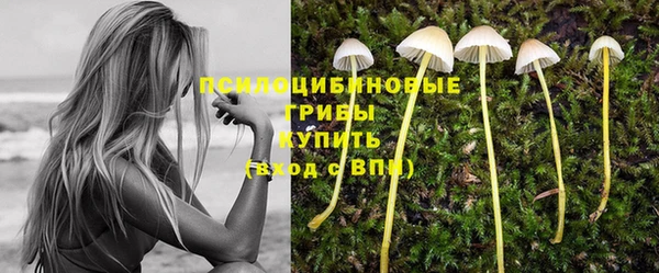 mdpv Абдулино