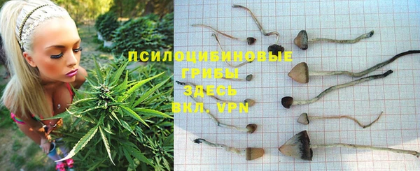 mdpv Абдулино
