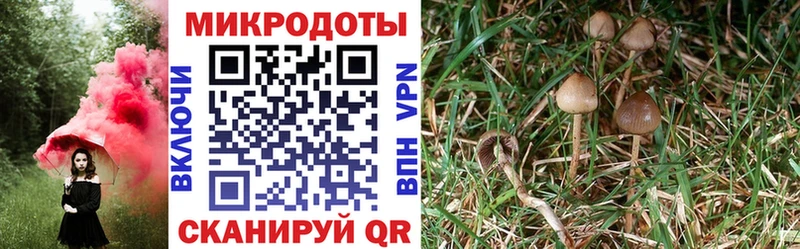 Галлюциногенные грибы Psilocybe hydra зеркало Болохово маркетплейс Telegram закладки
